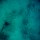 clear-no-fish-008
