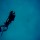 cobia-short-day-014