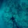 cobia-short-day-017