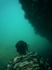 gulf-contrell-288.jpg
