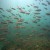 gulf-contrell-049.jpg