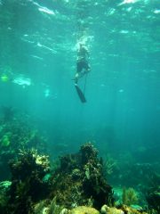 bahamas-002