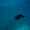 foggy_0119