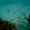 foggy_0152