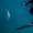foggy_0192