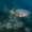 foggy_0199