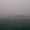foggy_0223
