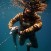hammerhead-021.jpg