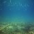 hammerhead-045.jpg