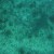 nurseshark.jpg