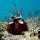 20110328_shrimp-boat-wrecks_5089