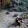20110328_shrimp-boat-wrecks_5094