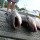 cobia-day-096