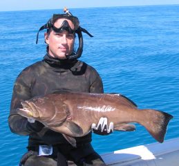 grouper 144.jpg