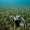 20101117_west-end-of-bar_2342