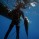 whale-shark-049