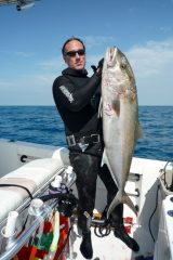 amberjack-spearfishing