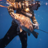Spearfishing the Navy Towers