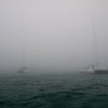 The Fog