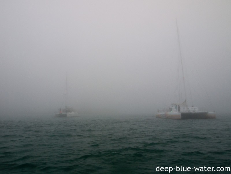 The Fog