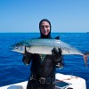 Beautiful Conditions and Huge Cero