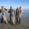 Trip to Baja part 3 : The Pacific
