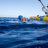 A Shark Diver Story : Cuba Swim with Diana Nyad