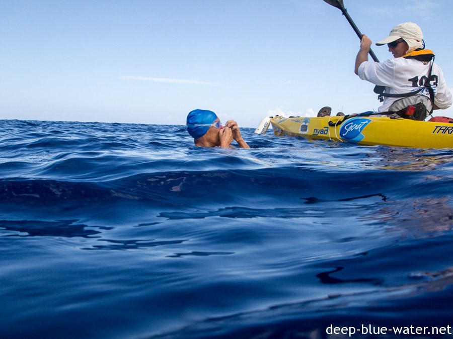 A Shark Diver Story : Cuba Swim with Diana Nyad