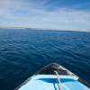Top Spearfishing Apps in the Mobile Market