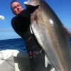 Nice Amberjack
