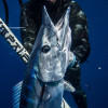 Wahoo Season and New Gun