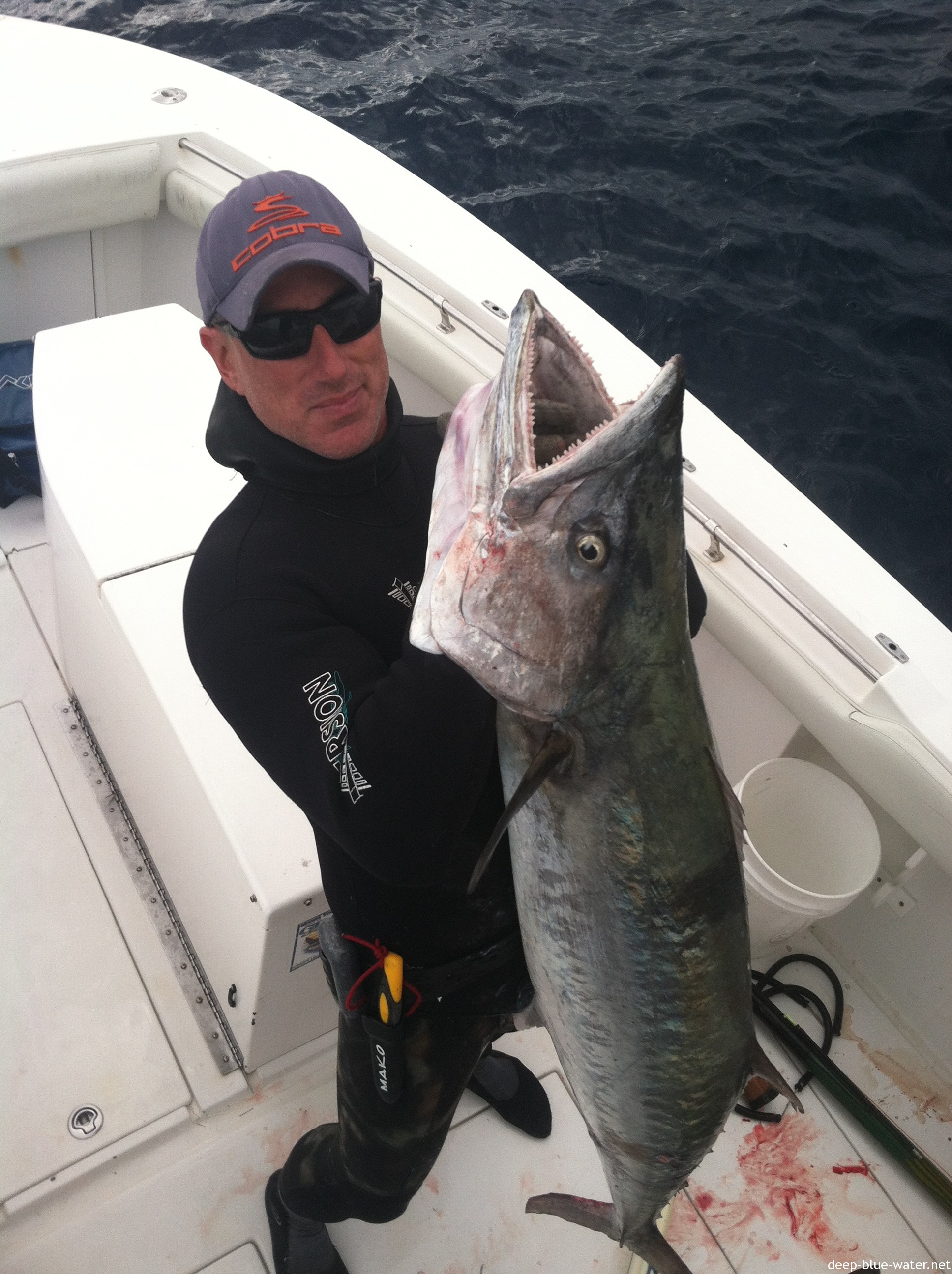 74# King Mackerel