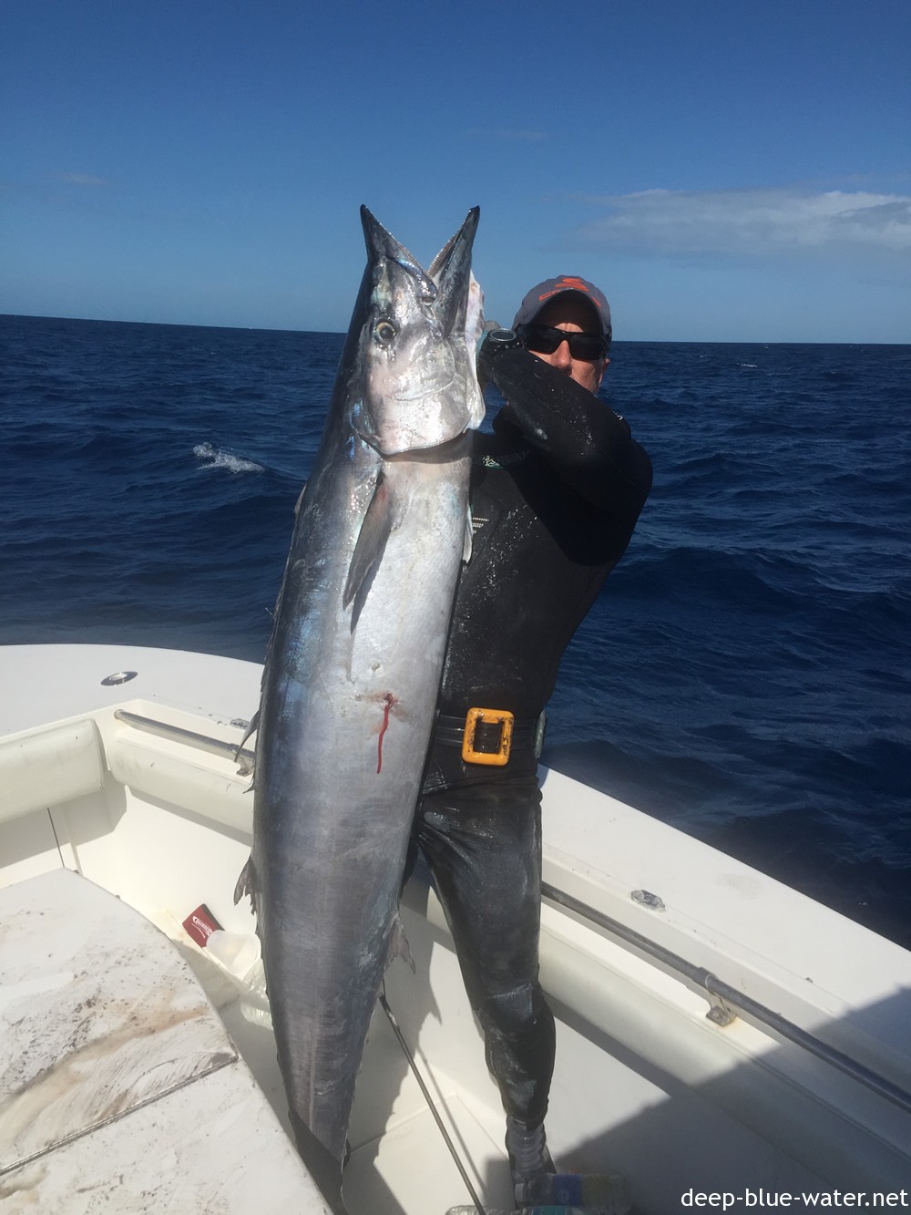 85# Wahoo