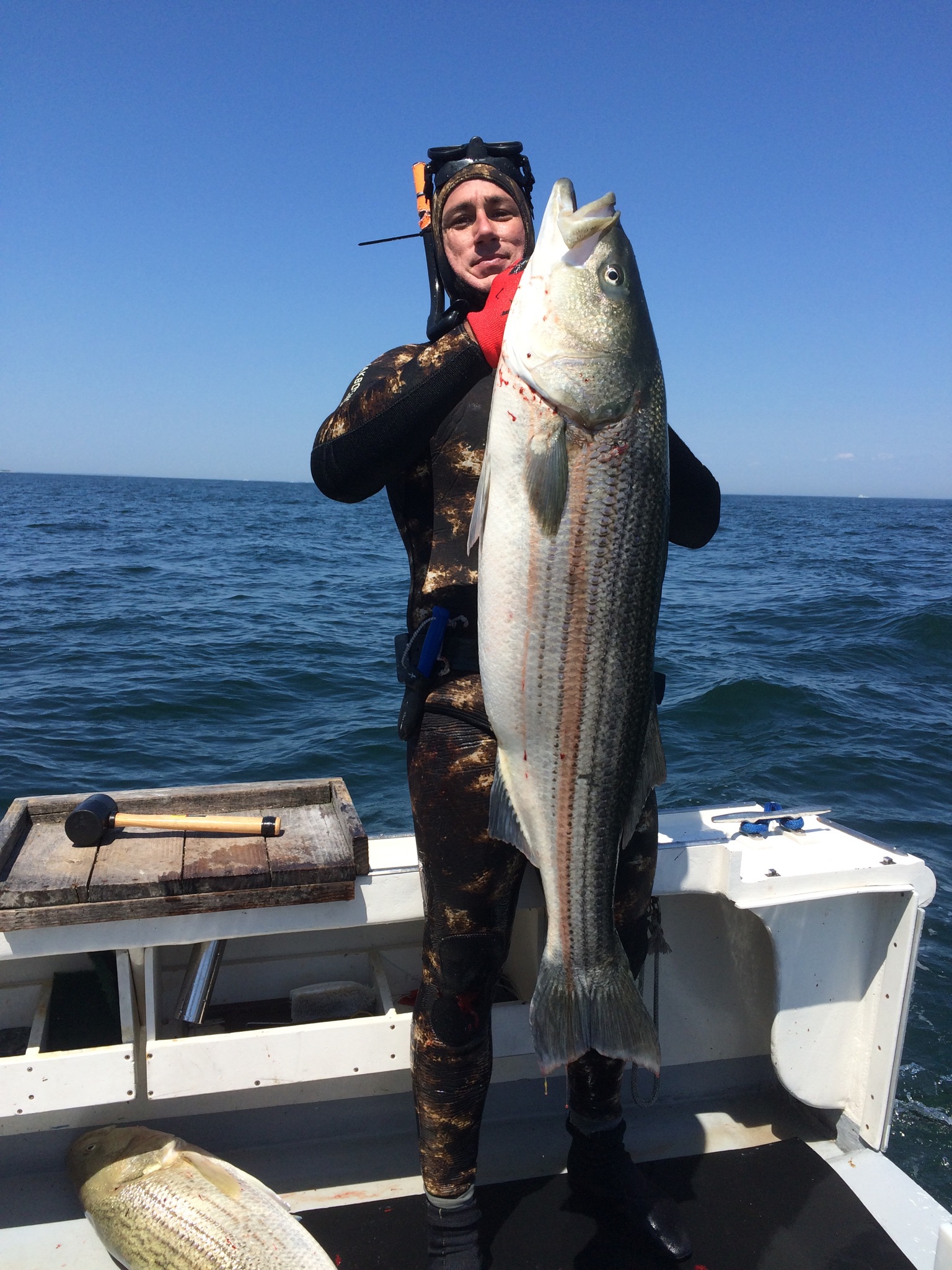 Montauk 2016