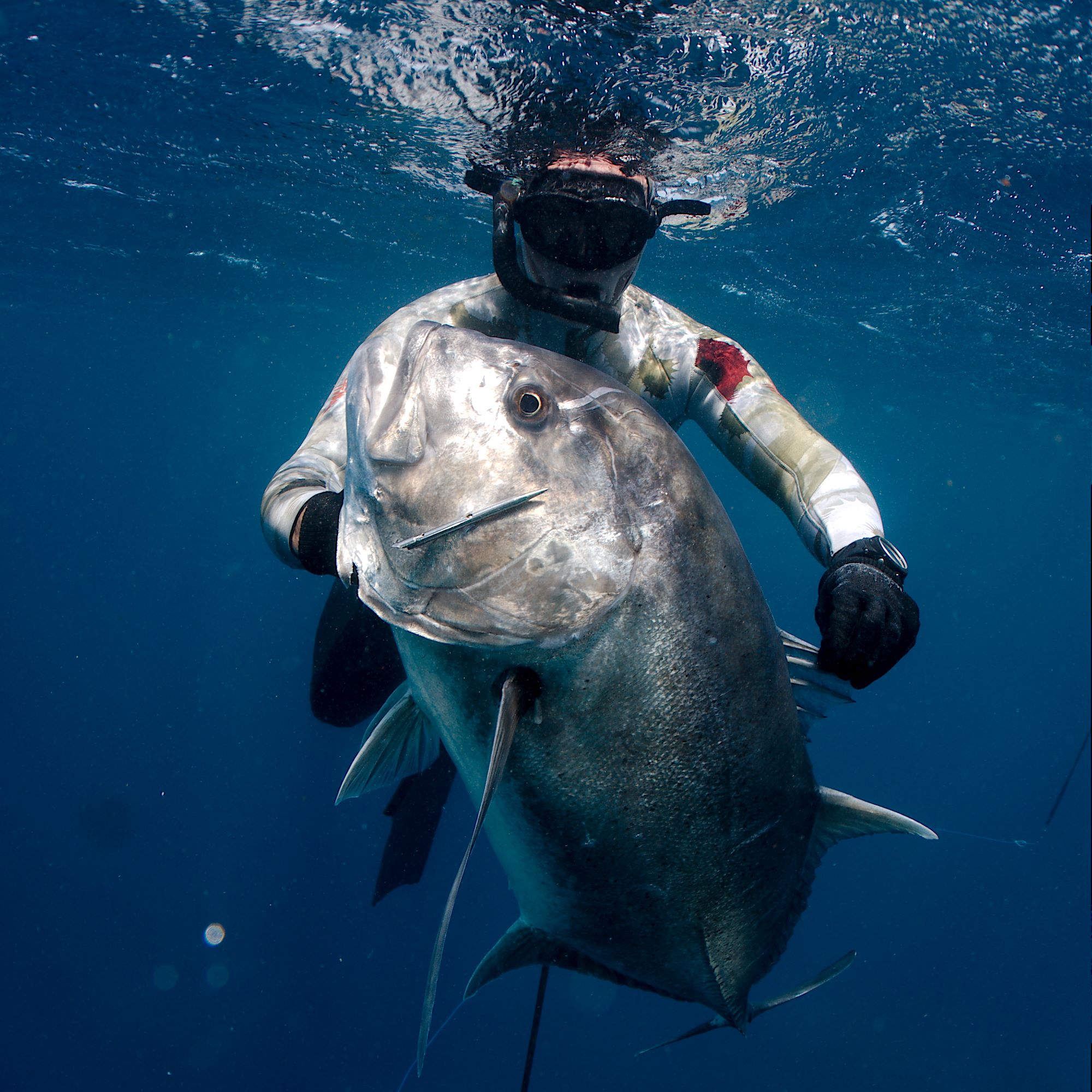 Bali Indonesia Spearfishing